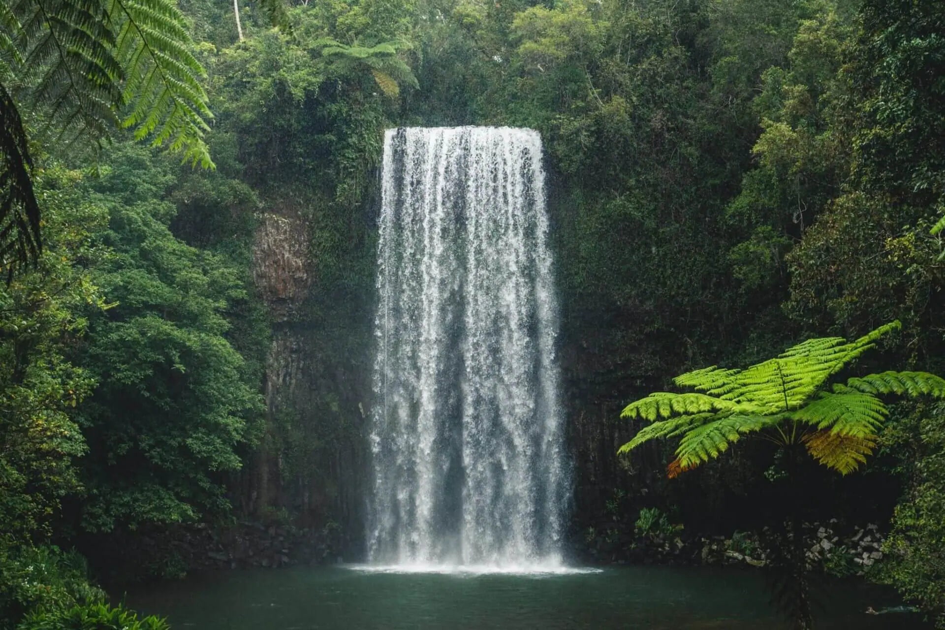 Discover the Atherton Tablelands: Your Perfect Caravan and Camping Adventure Awaits