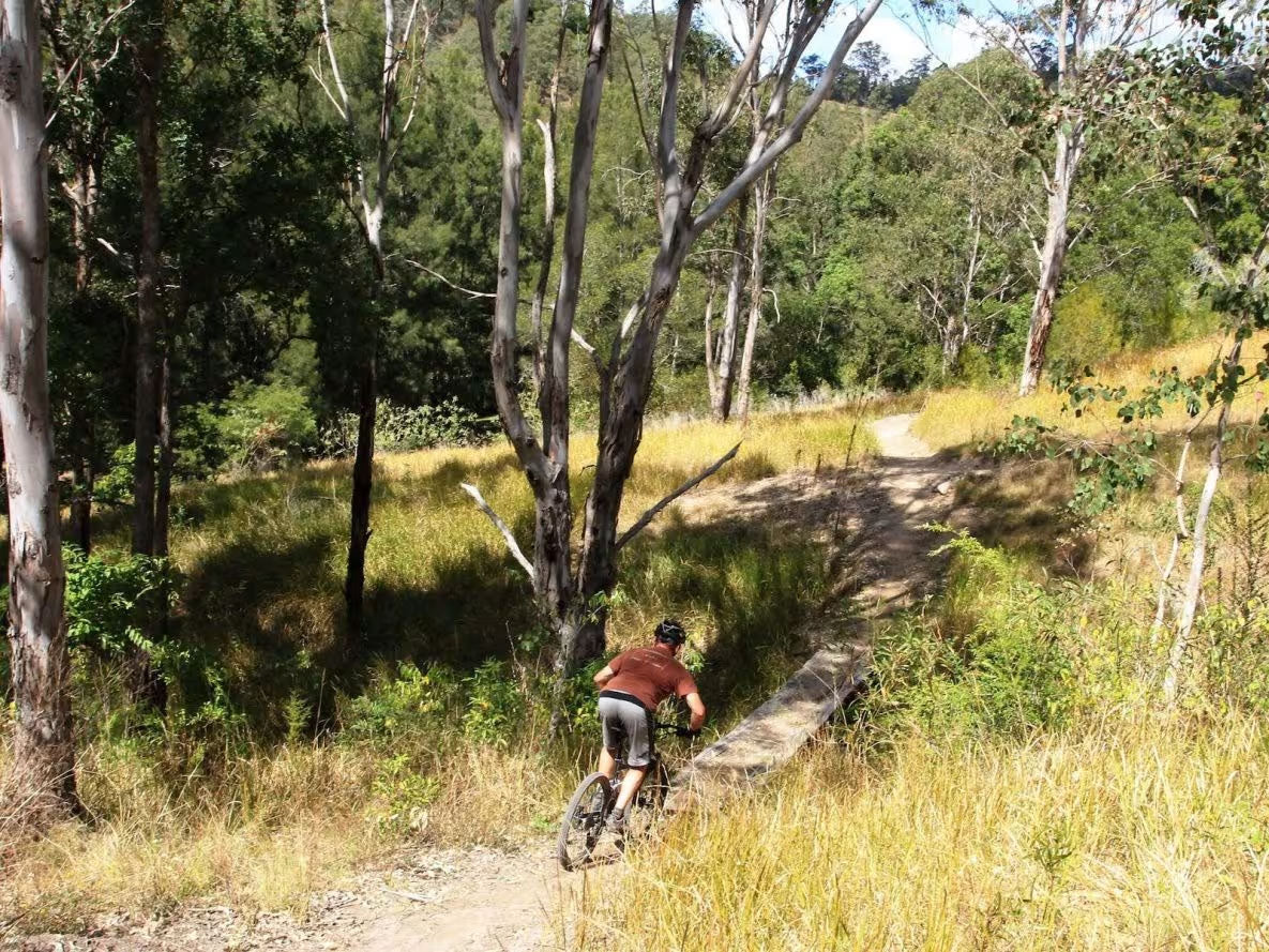 Discover The Steps Barrington: A Nature-Lover’s Paradise and a Cub Campers Favourite