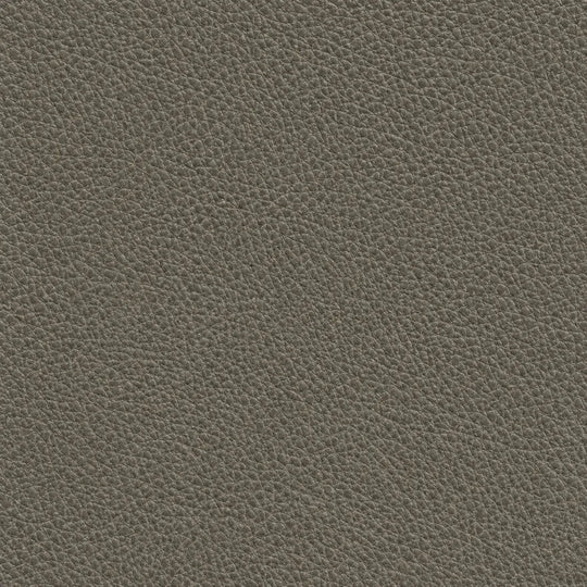 Vegas Cement